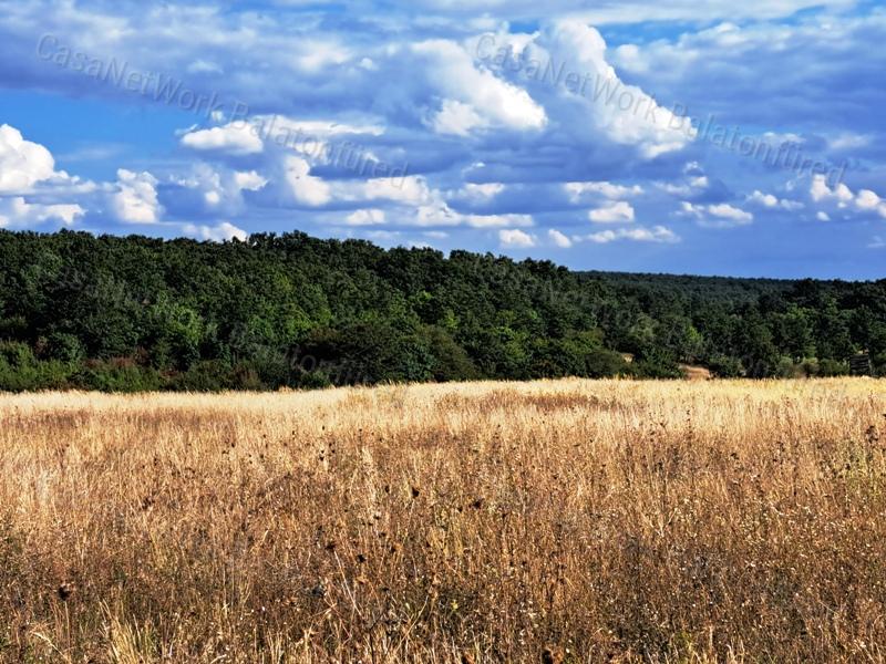 Tájpanorámás terület - eladó MEZŐGAZDASÁGI TERÜLET DÖRGICSÉN