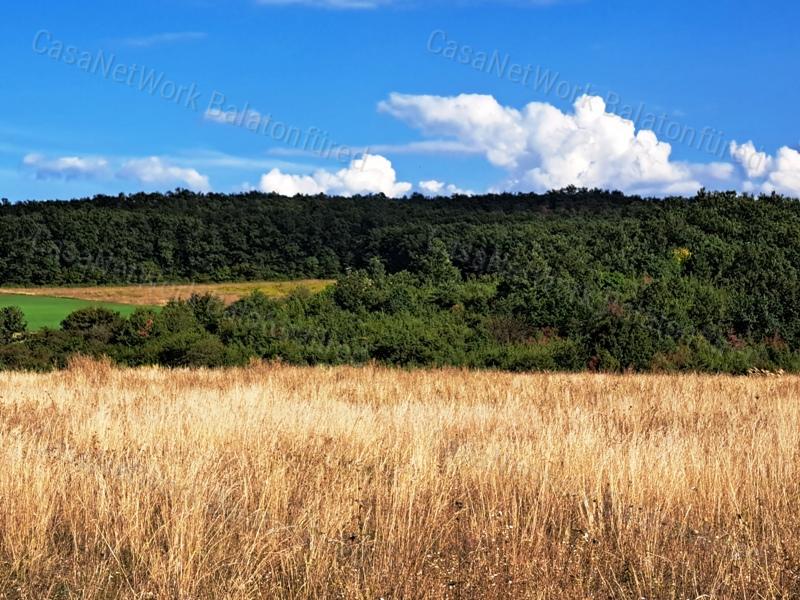Tájpanorámás terület - eladó MEZŐGAZDASÁGI TERÜLET DÖRGICSÉN