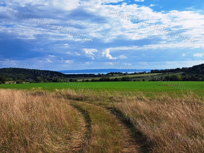 Tájpanorámás terület - eladó MEZŐGAZDASÁGI TERÜLET DÖRGICSÉN