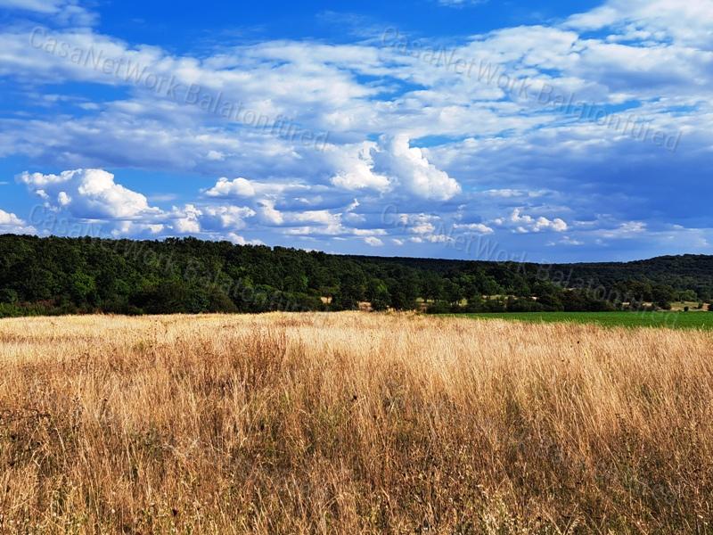 Tájpanorámás terület - eladó MEZŐGAZDASÁGI TERÜLET DÖRGICSÉN