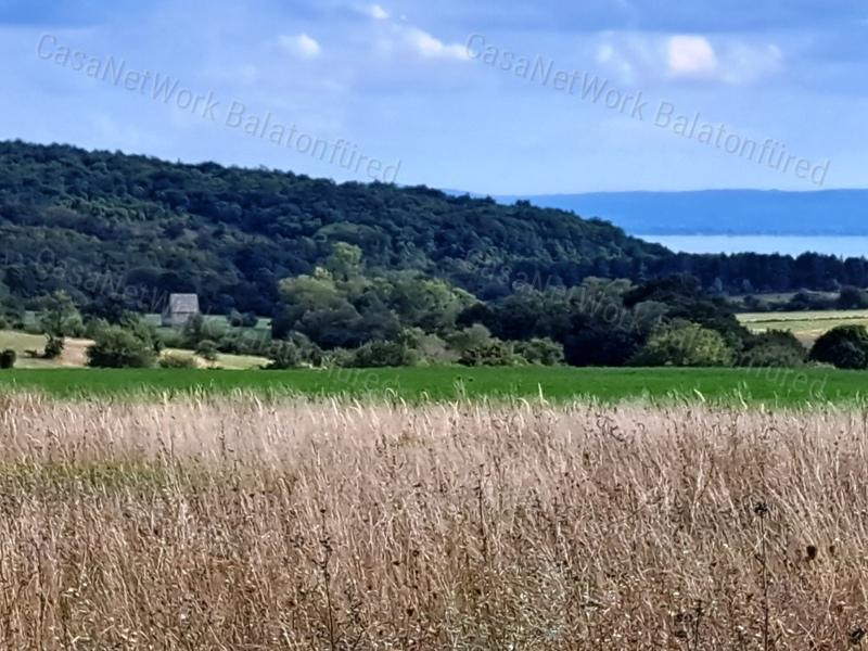 Tájpanorámás terület - eladó MEZŐGAZDASÁGI TERÜLET DÖRGICSÉN
