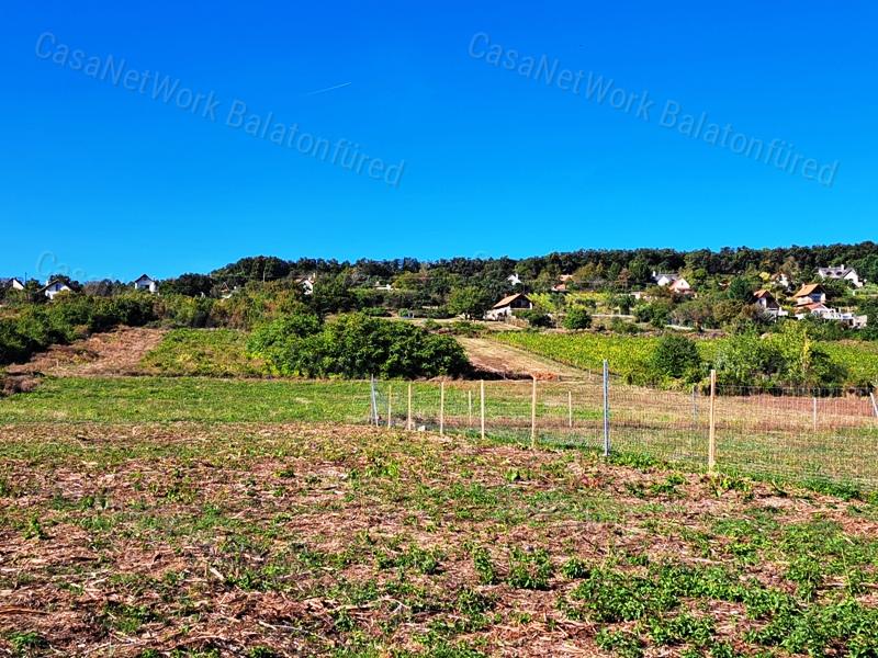PANORÁMÁS ,ÉPÍTHETŐ - eladó MEZŐGAZDASÁGI TERÜLET BALATONFÜREDEN