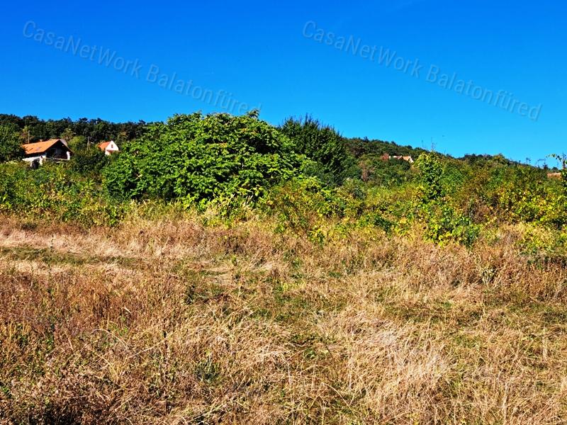 PANORÁMÁS ,ÉPÍTHETŐ - eladó MEZŐGAZDASÁGI TERÜLET BALATONFÜREDEN