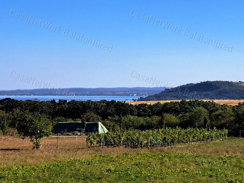PANORÁMÁS ,ÉPÍTHETŐ - eladó MEZŐGAZDASÁGI TERÜLET BALATONFÜREDEN