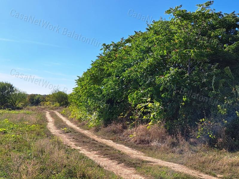 PANORÁMÁS ,ÉPÍTHETŐ - eladó MEZŐGAZDASÁGI TERÜLET BALATONFÜREDEN