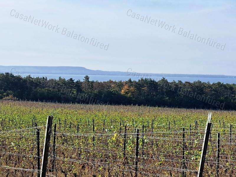 Település közeli, építhető-eladó MEZŐGAZDASÁGI TERÜLET BALATONAKALIBAN