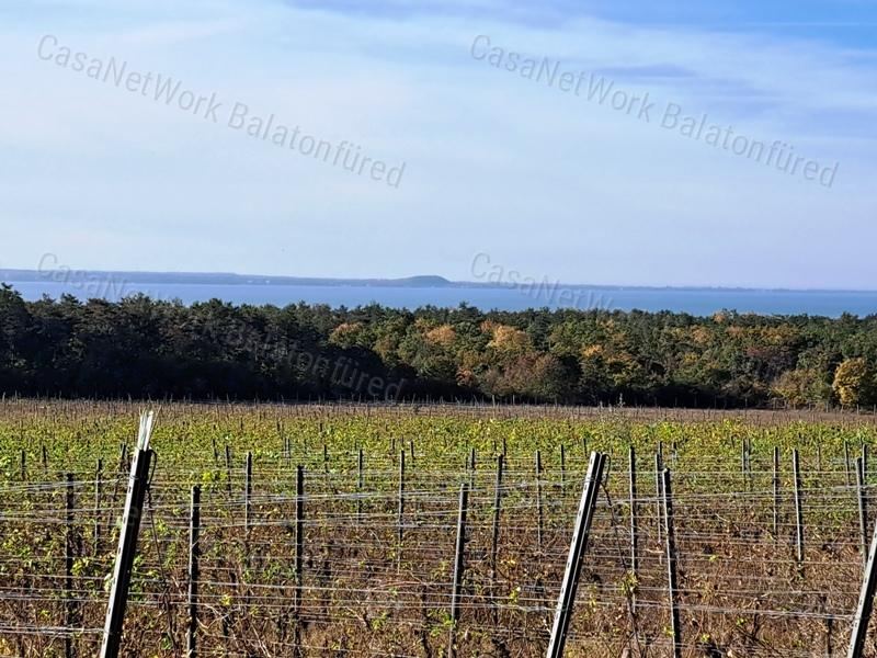 Település közeli, építhető-eladó MEZŐGAZDASÁGI TERÜLET BALATONAKALIBAN