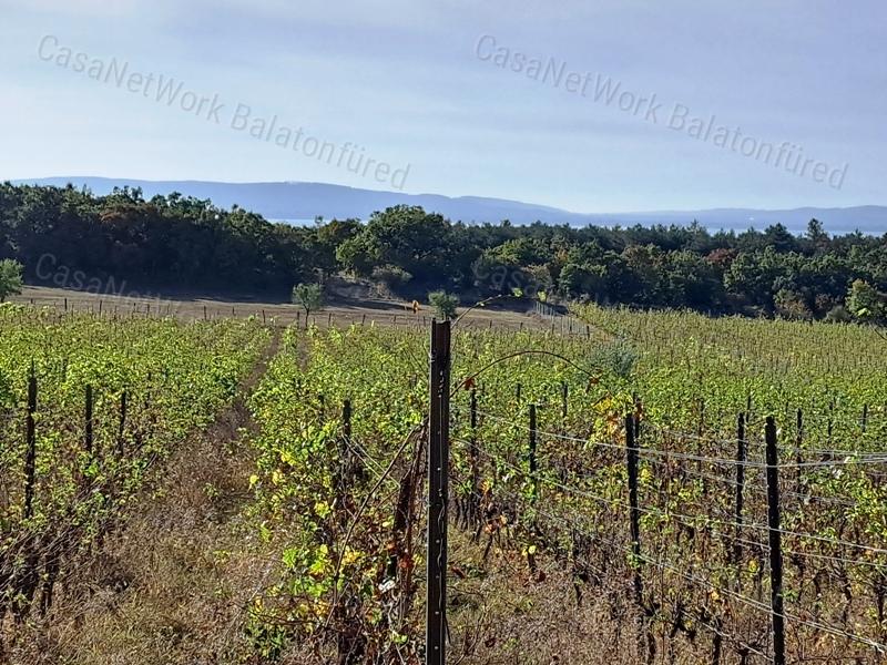 Település közeli, építhető-eladó MEZŐGAZDASÁGI TERÜLET BALATONAKALIBAN