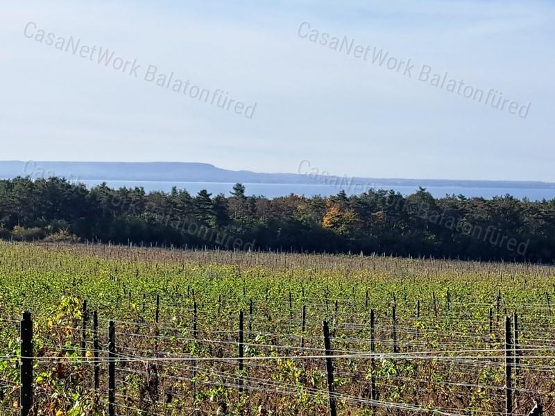 Település közeli, építhető-eladó MEZŐGAZDASÁGI TERÜLET BALATONAKALIBAN