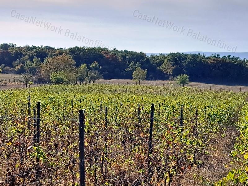 Település közeli, építhető-eladó MEZŐGAZDASÁGI TERÜLET BALATONAKALIBAN