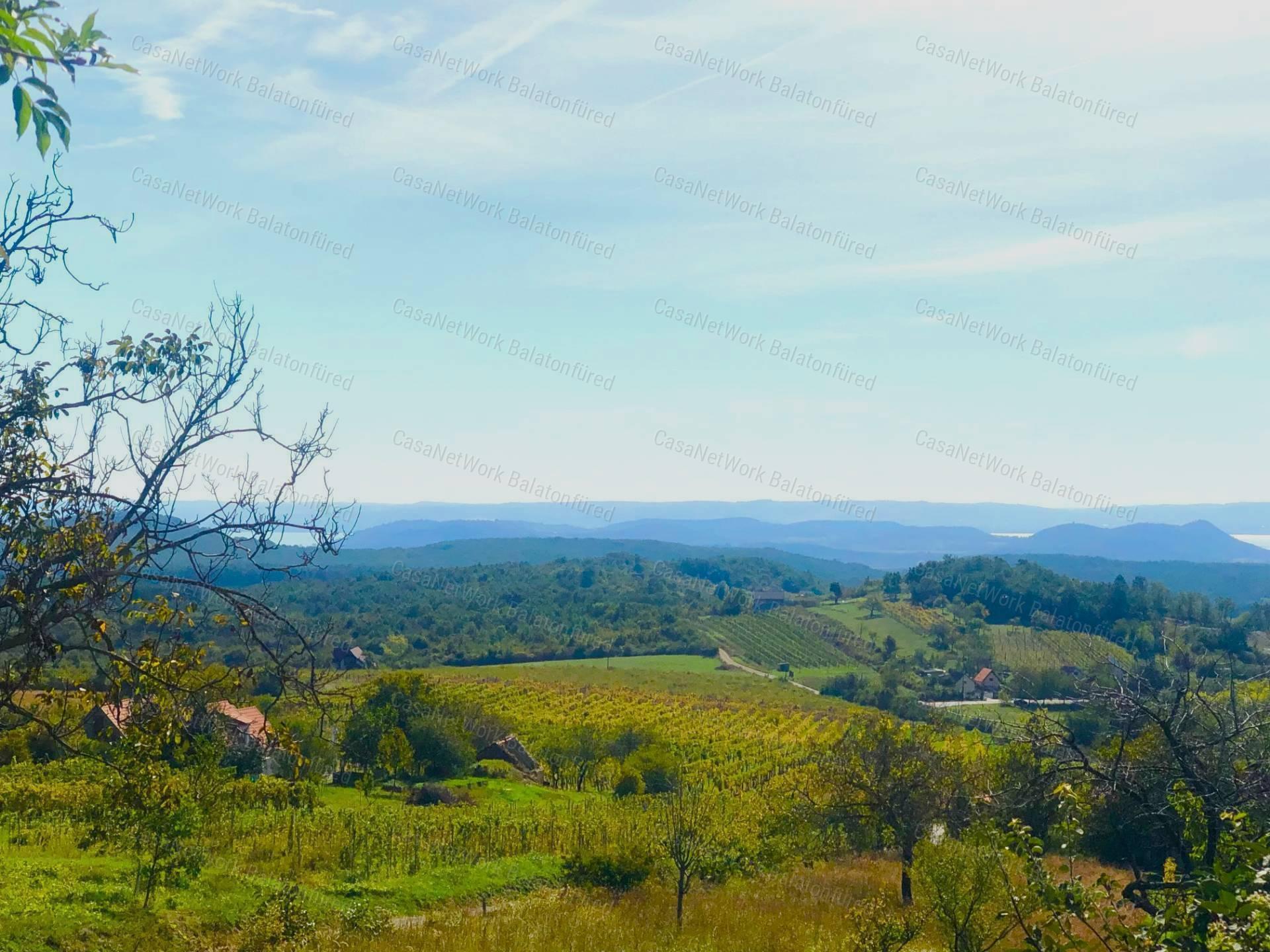 Részpanorámás szőlő terület