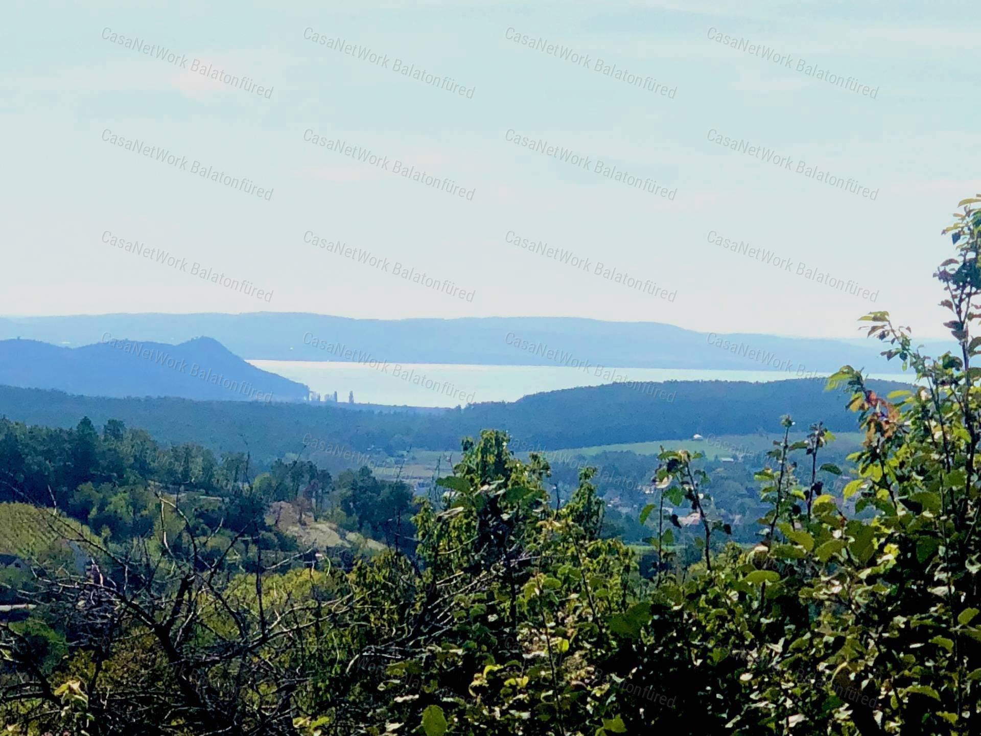 Részpanorámás szőlő terület