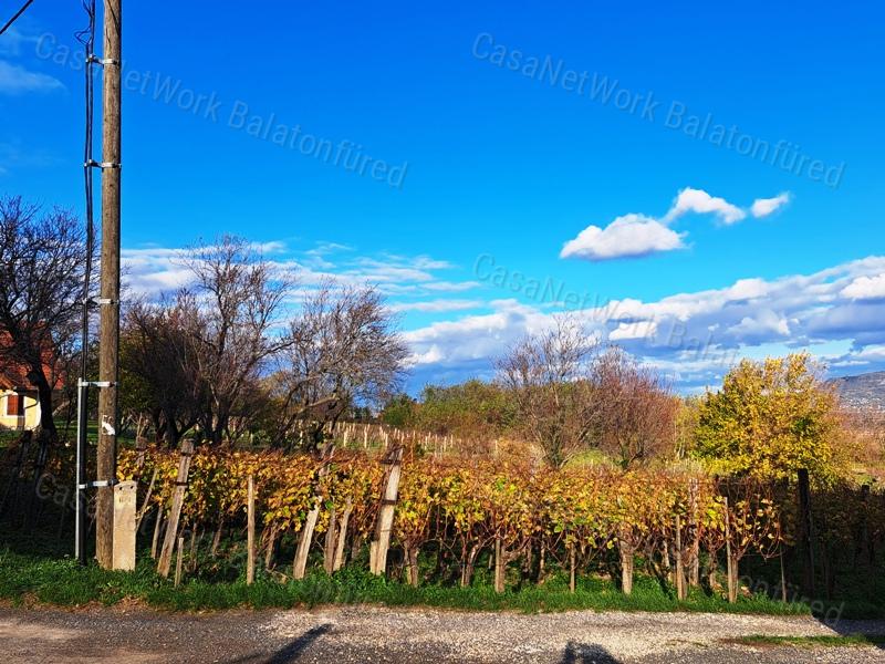 Panorámás , település közeli-eladó ZÁRTKERT BALATONEDERICSEN