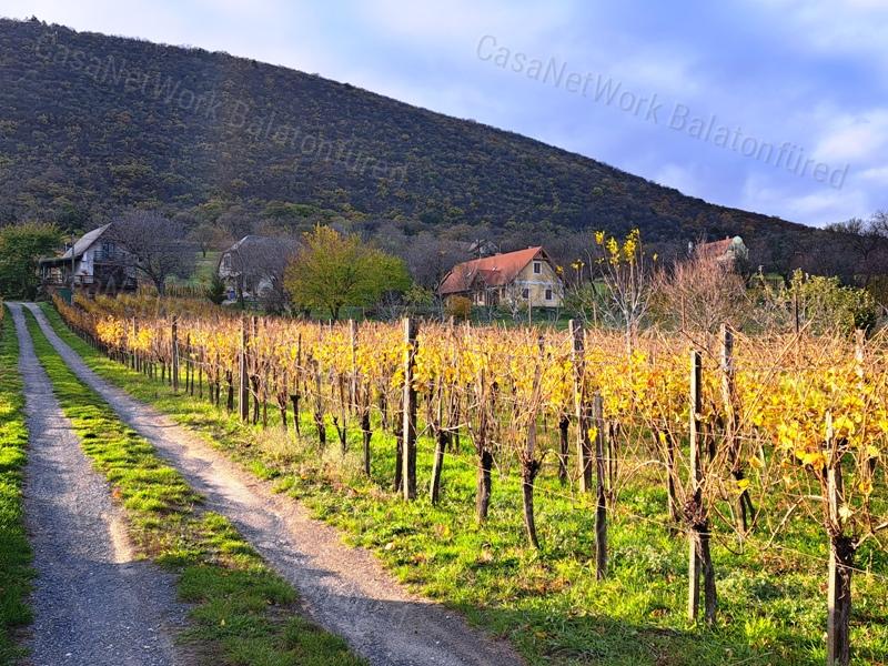 Panorámás , település közeli-eladó ZÁRTKERT BALATONEDERICSEN
