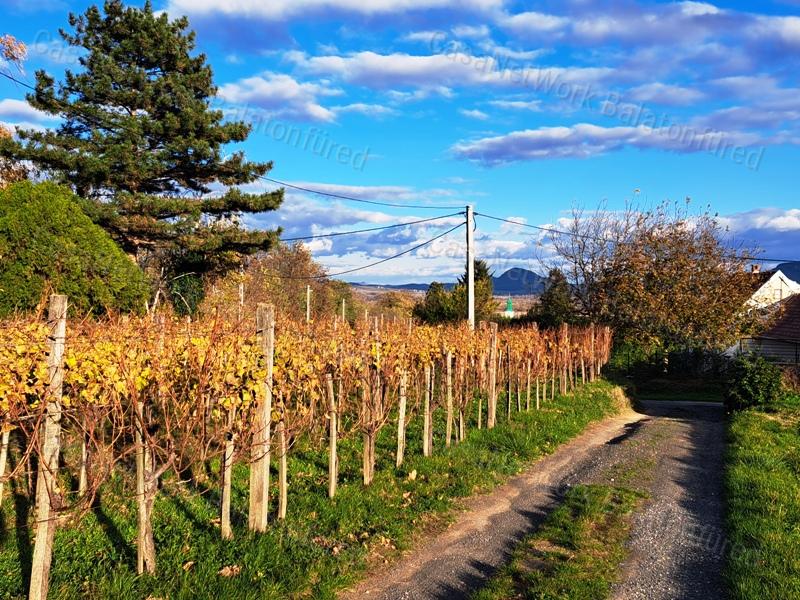 Panorámás , település közeli-eladó ZÁRTKERT BALATONEDERICSEN