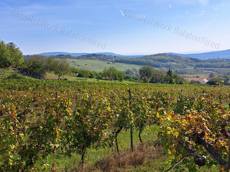 Építhető,panorámás-eladó ZÁRTKERT MINDSZENTKÁLLÁN