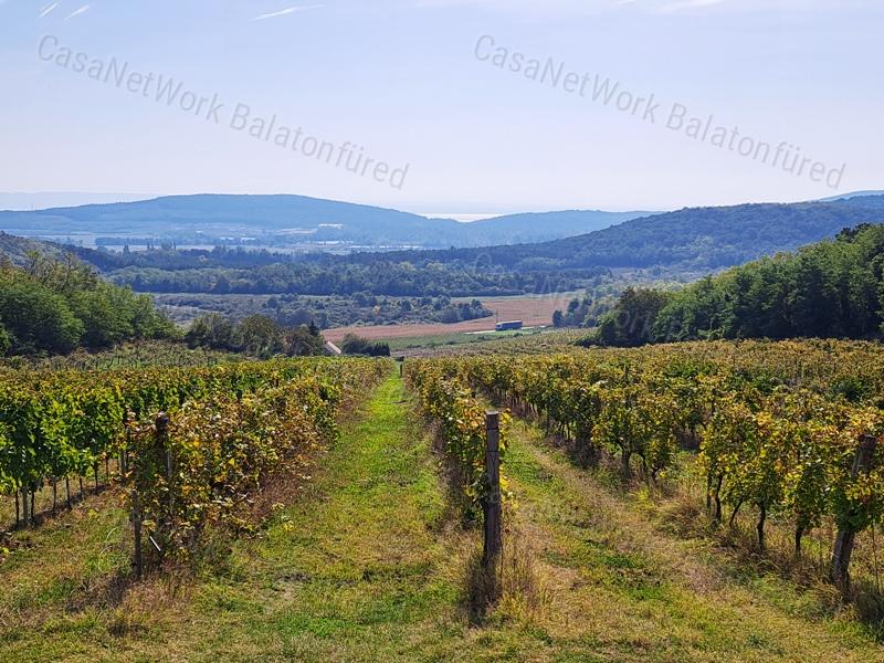 Építhető,panorámás-eladó ZÁRTKERT MINDSZENTKÁLLÁN