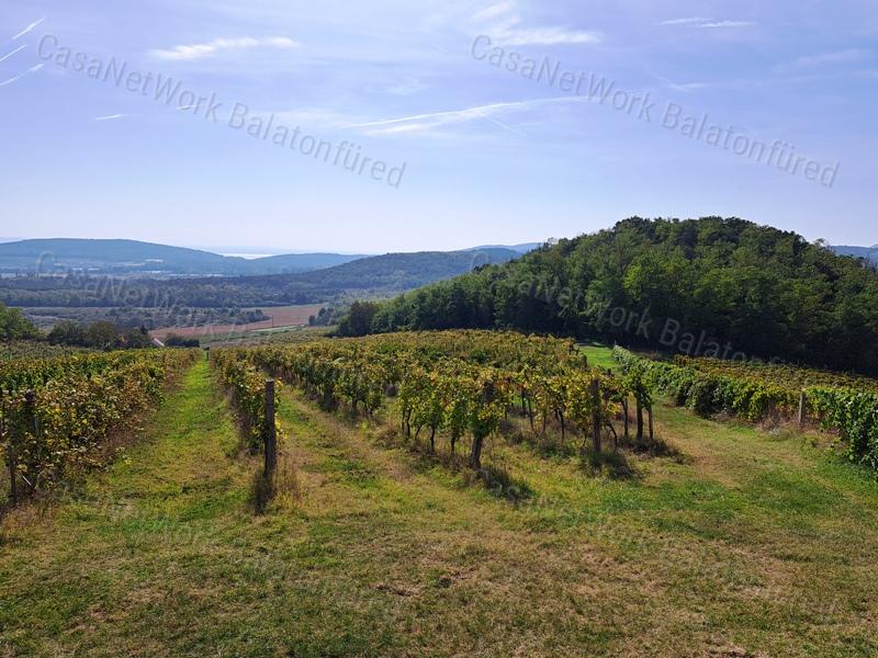 Építhető,panorámás-eladó ZÁRTKERT MINDSZENTKÁLLÁN