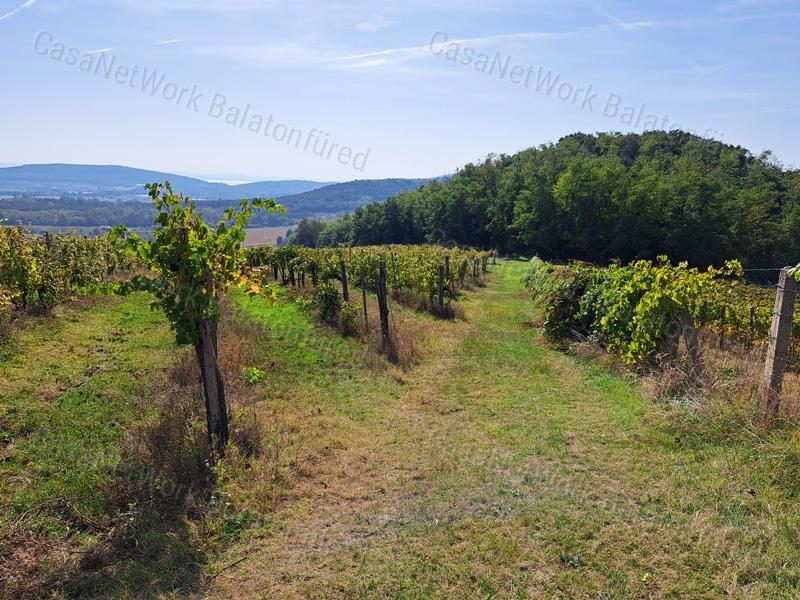 Építhető,panorámás-eladó ZÁRTKERT MINDSZENTKÁLLÁN
