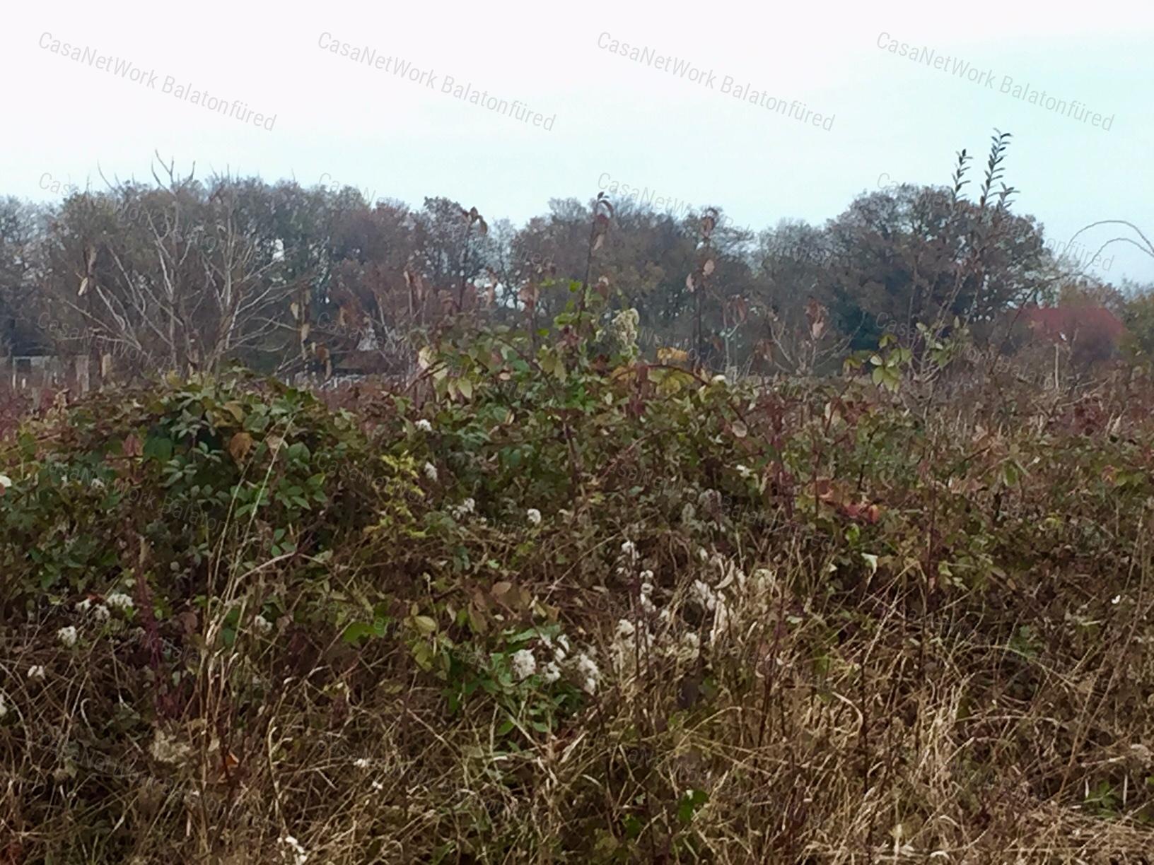 Örök Panorámás  építhető zárt kert
