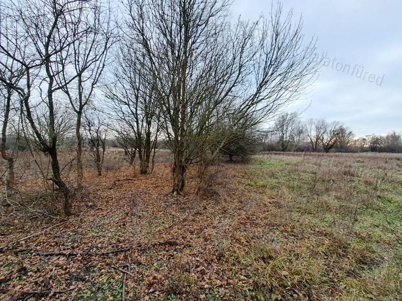 Vízparti terület-eladó MEZŐGAZDASÁGI TERÜLET BALATONAKALIBAN