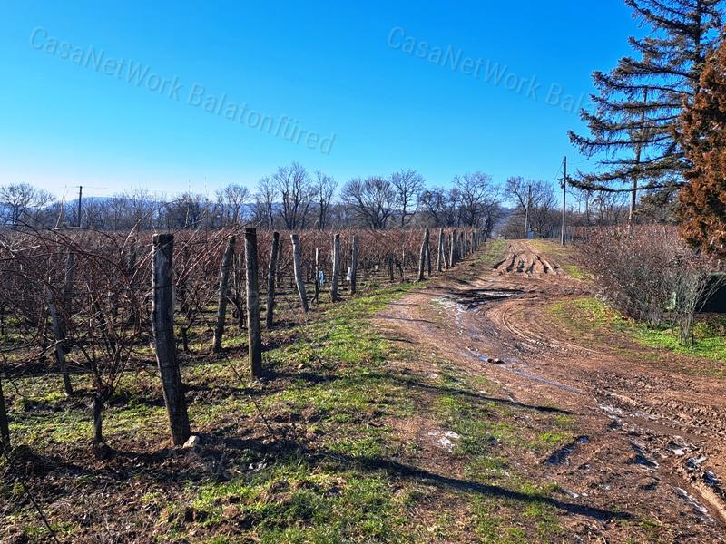 PANORÁMÁS, ÉPÍTHETŐ -eladó MEZŐGAZDASÁGI TERÜLET SZENTJAKABFÁN