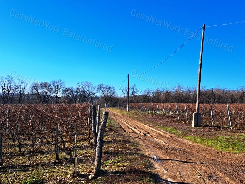 PANORÁMÁS, ÉPÍTHETŐ -eladó MEZŐGAZDASÁGI TERÜLET SZENTJAKABFÁN