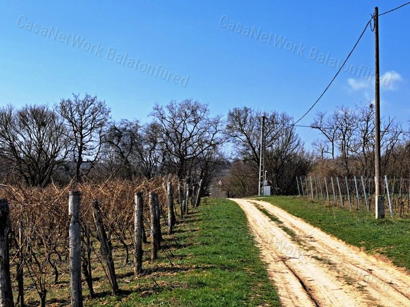 PANORÁMÁS, ÉPÍTHETŐ -eladó MEZŐGAZDASÁGI TERÜLET SZENTJAKABFÁN