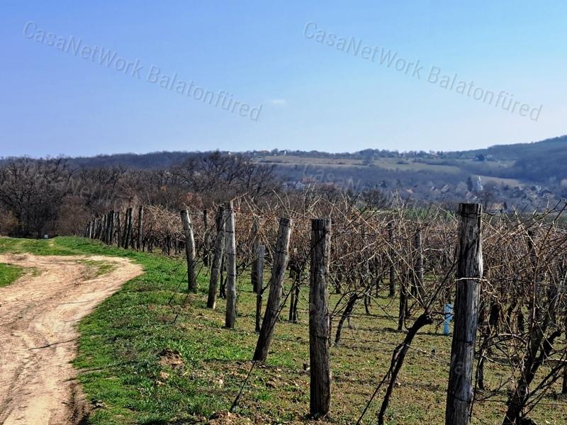 PANORÁMÁS, ÉPÍTHETŐ -eladó MEZŐGAZDASÁGI TERÜLET SZENTJAKABFÁN