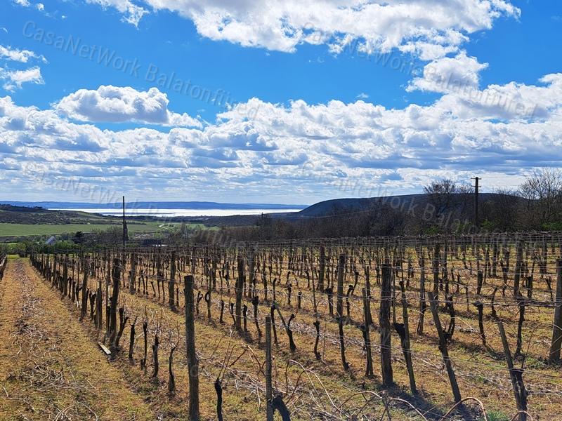 PANORÁMÁS, ÉPÍTHETŐ -eladó MEZŐGAZDASÁGI TERÜLET SZENTJAKABFÁN