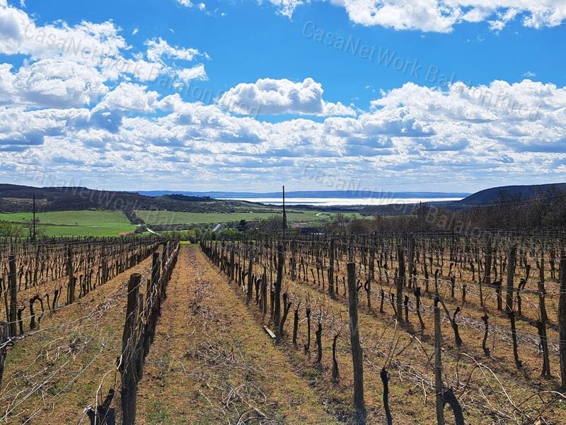 PANORÁMÁS, ÉPÍTHETŐ -eladó MEZŐGAZDASÁGI TERÜLET SZENTJAKABFÁN