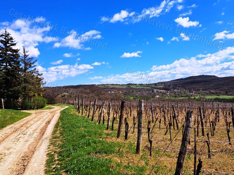 PANORÁMÁS, ÉPÍTHETŐ -eladó MEZŐGAZDASÁGI TERÜLET SZENTJAKABFÁN