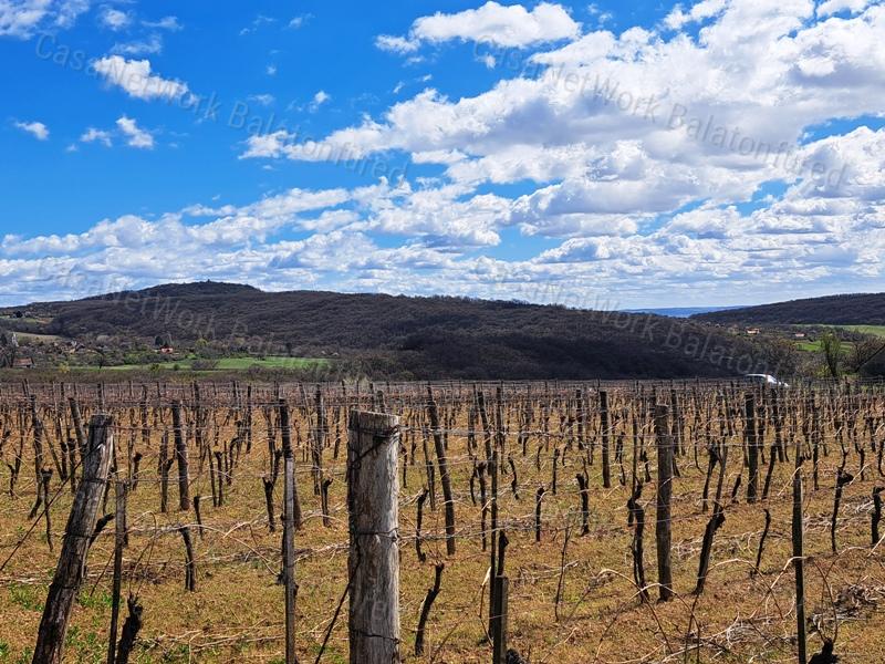 PANORÁMÁS, ÉPÍTHETŐ -eladó MEZŐGAZDASÁGI TERÜLET SZENTJAKABFÁN