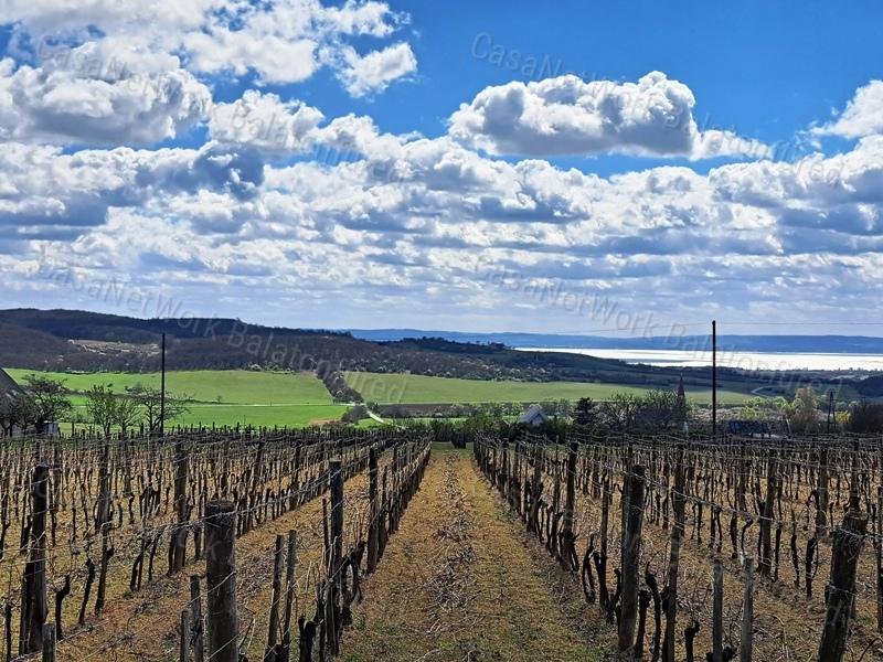 PANORÁMÁS, ÉPÍTHETŐ -eladó MEZŐGAZDASÁGI TERÜLET SZENTJAKABFÁN