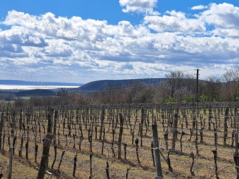 PANORÁMÁS, ÉPÍTHETŐ -eladó MEZŐGAZDASÁGI TERÜLET SZENTJAKABFÁN