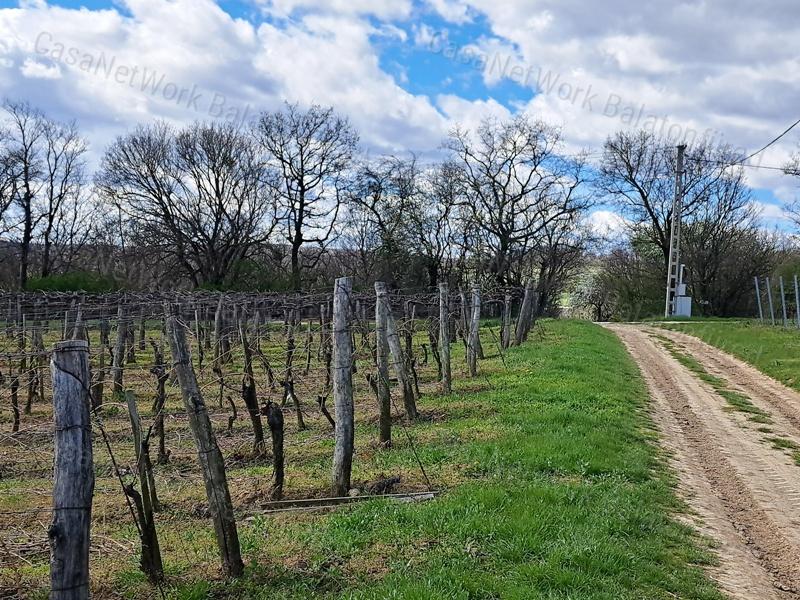 PANORÁMÁS, ÉPÍTHETŐ -eladó MEZŐGAZDASÁGI TERÜLET SZENTJAKABFÁN