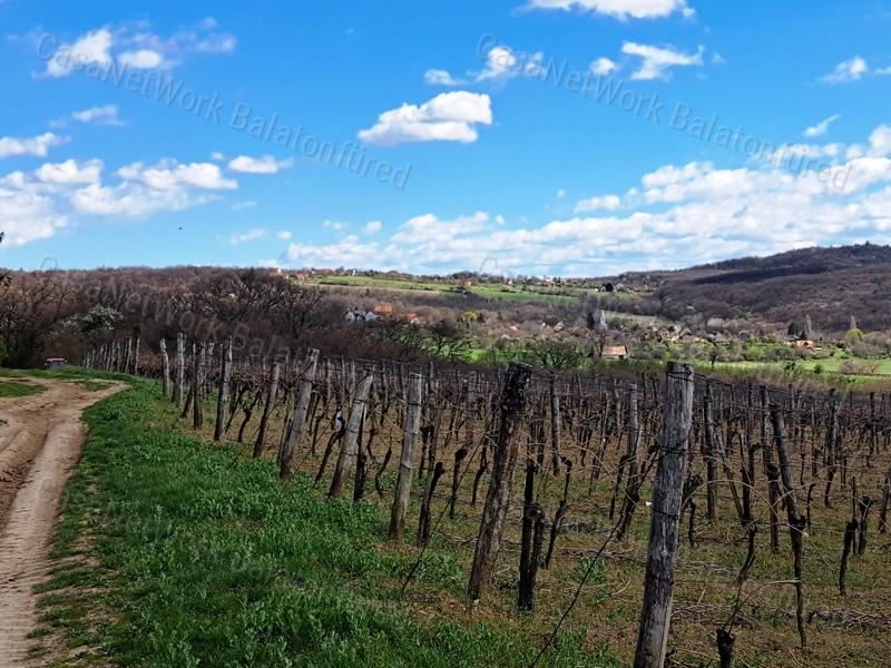 PANORÁMÁS, ÉPÍTHETŐ -eladó MEZŐGAZDASÁGI TERÜLET SZENTJAKABFÁN