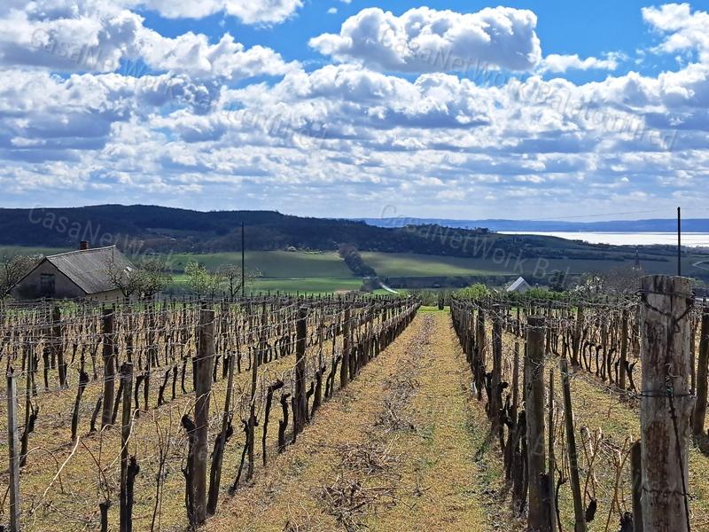 PANORÁMÁS, ÉPÍTHETŐ -eladó MEZŐGAZDASÁGI TERÜLET SZENTJAKABFÁN