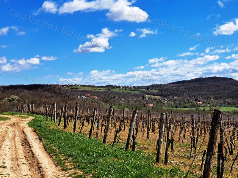 PANORÁMÁS, ÉPÍTHETŐ -eladó MEZŐGAZDASÁGI TERÜLET SZENTJAKABFÁN