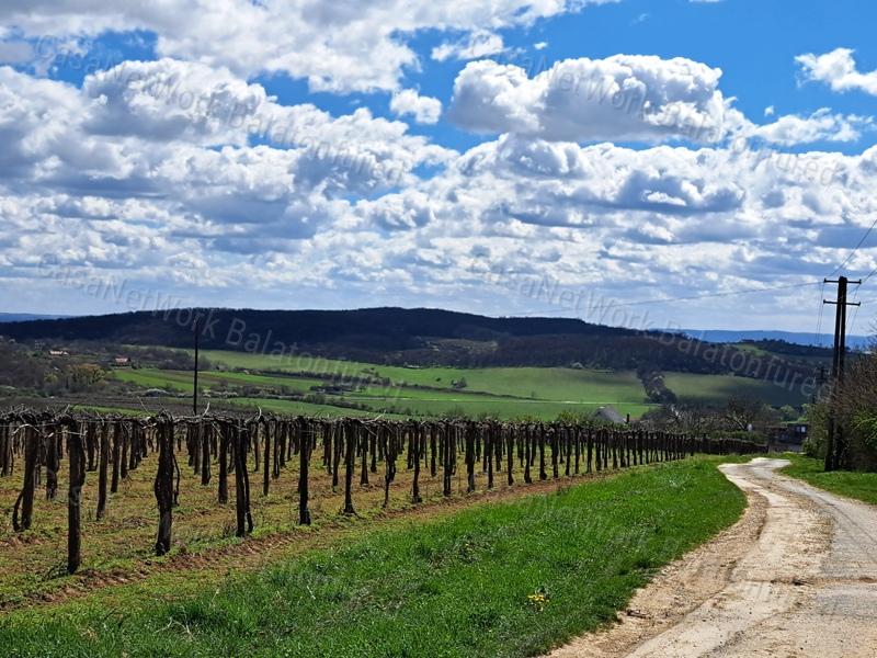 PANORÁMÁS, ÉPÍTHETŐ -eladó MEZŐGAZDASÁGI TERÜLET SZENTJAKABFÁN