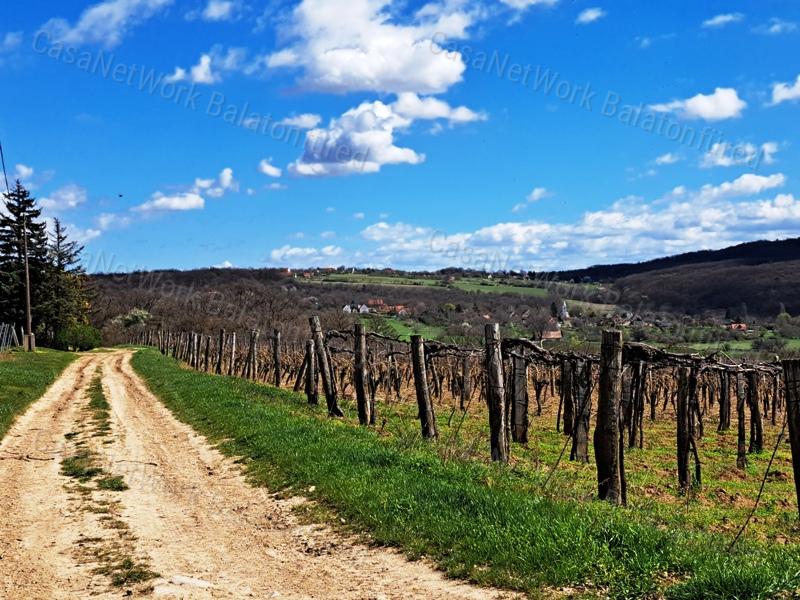 PANORÁMÁS, ÉPÍTHETŐ -eladó MEZŐGAZDASÁGI TERÜLET SZENTJAKABFÁN