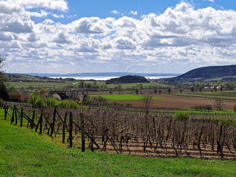 ÉPÍTHETŐ, PANORÁMÁS- eladó MEZŐGAZDASÁGI TERÜLET SZENTJAKABFÁN