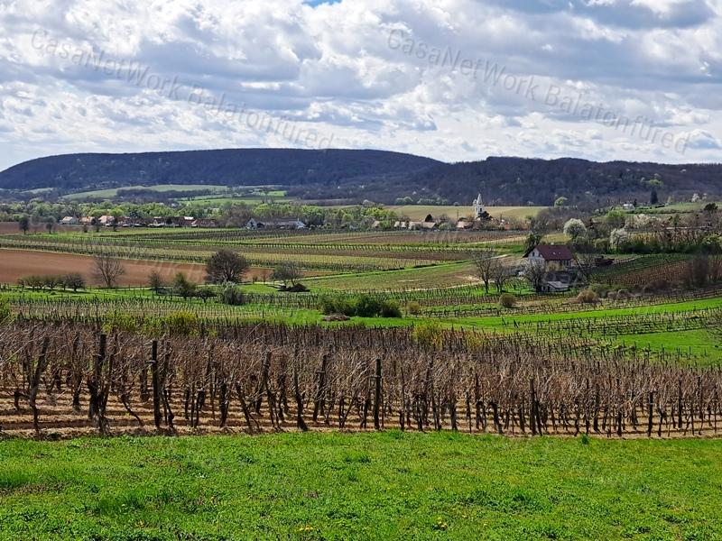 ÉPÍTHETŐ, PANORÁMÁS- eladó MEZŐGAZDASÁGI TERÜLET SZENTJAKABFÁN