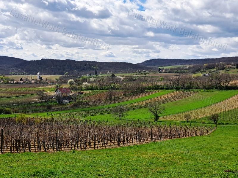 ÉPÍTHETŐ, PANORÁMÁS- eladó MEZŐGAZDASÁGI TERÜLET SZENTJAKABFÁN