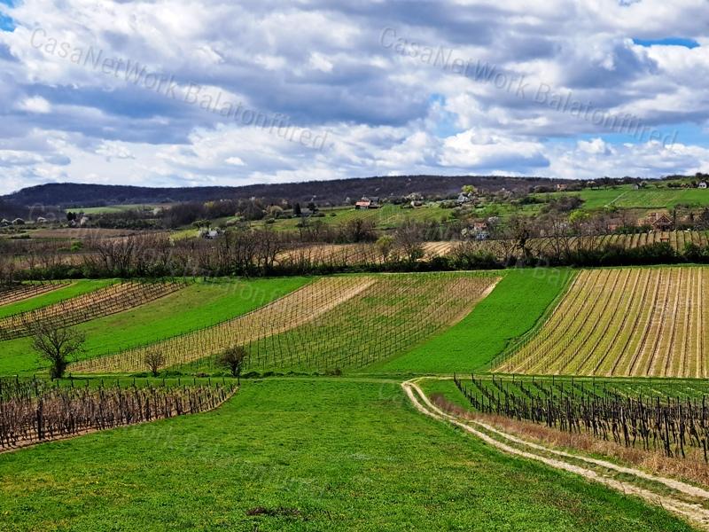 ÉPÍTHETŐ, PANORÁMÁS- eladó MEZŐGAZDASÁGI TERÜLET SZENTJAKABFÁN