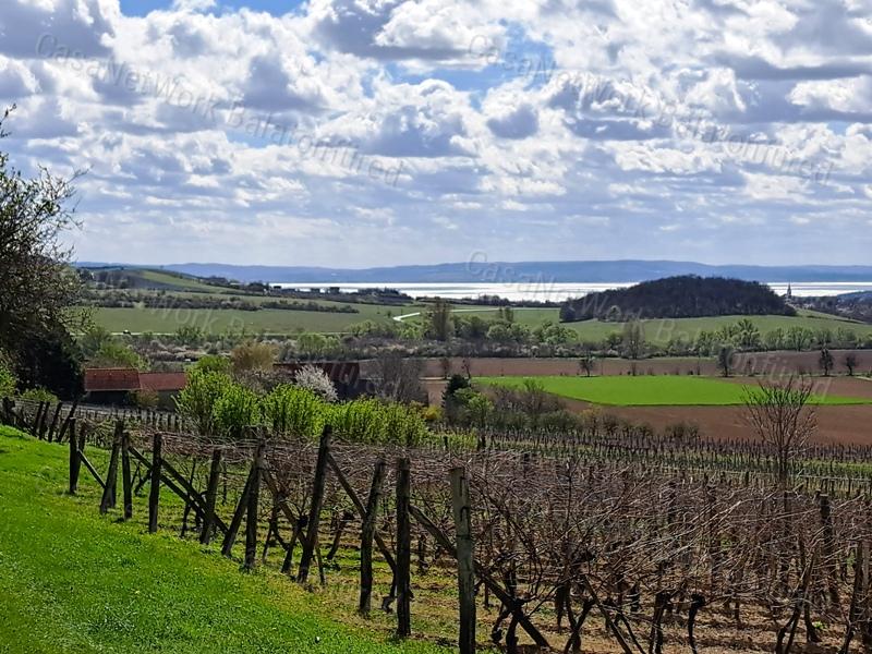 ÉPÍTHETŐ, PANORÁMÁS- eladó MEZŐGAZDASÁGI TERÜLET SZENTJAKABFÁN