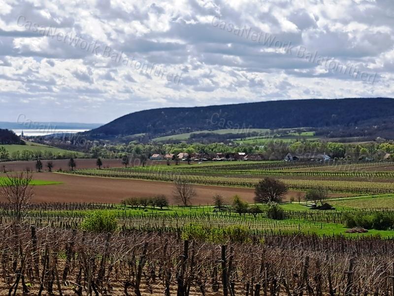 ÉPÍTHETŐ, PANORÁMÁS- eladó MEZŐGAZDASÁGI TERÜLET SZENTJAKABFÁN