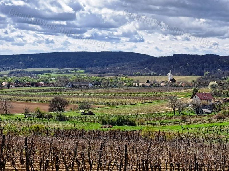 ÉPÍTHETŐ, PANORÁMÁS- eladó MEZŐGAZDASÁGI TERÜLET SZENTJAKABFÁN