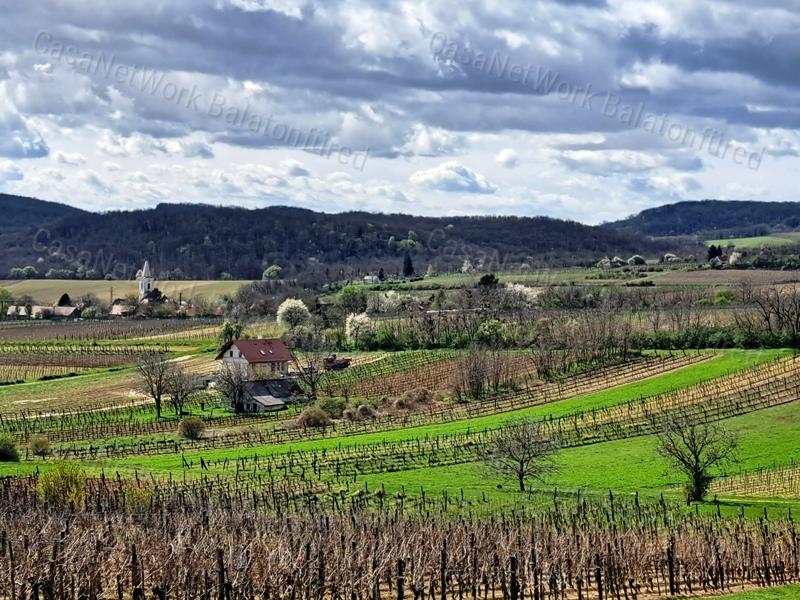 ÉPÍTHETŐ, PANORÁMÁS- eladó MEZŐGAZDASÁGI TERÜLET SZENTJAKABFÁN