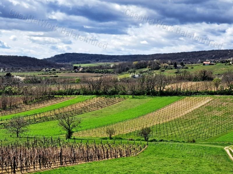 ÉPÍTHETŐ, PANORÁMÁS- eladó MEZŐGAZDASÁGI TERÜLET SZENTJAKABFÁN